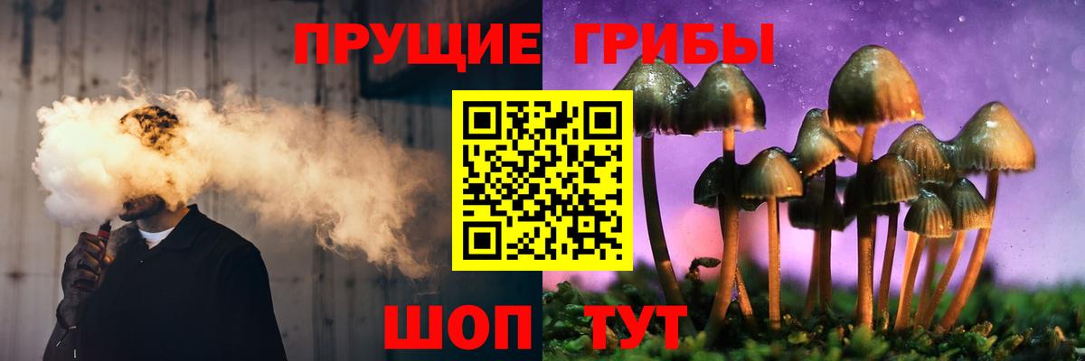 где найти наркотики  Галлюциногенные грибы ЛСД  Вход с VPN  Выборг  Псилоцибиновые грибы MAGIC MUSHROOMS 
